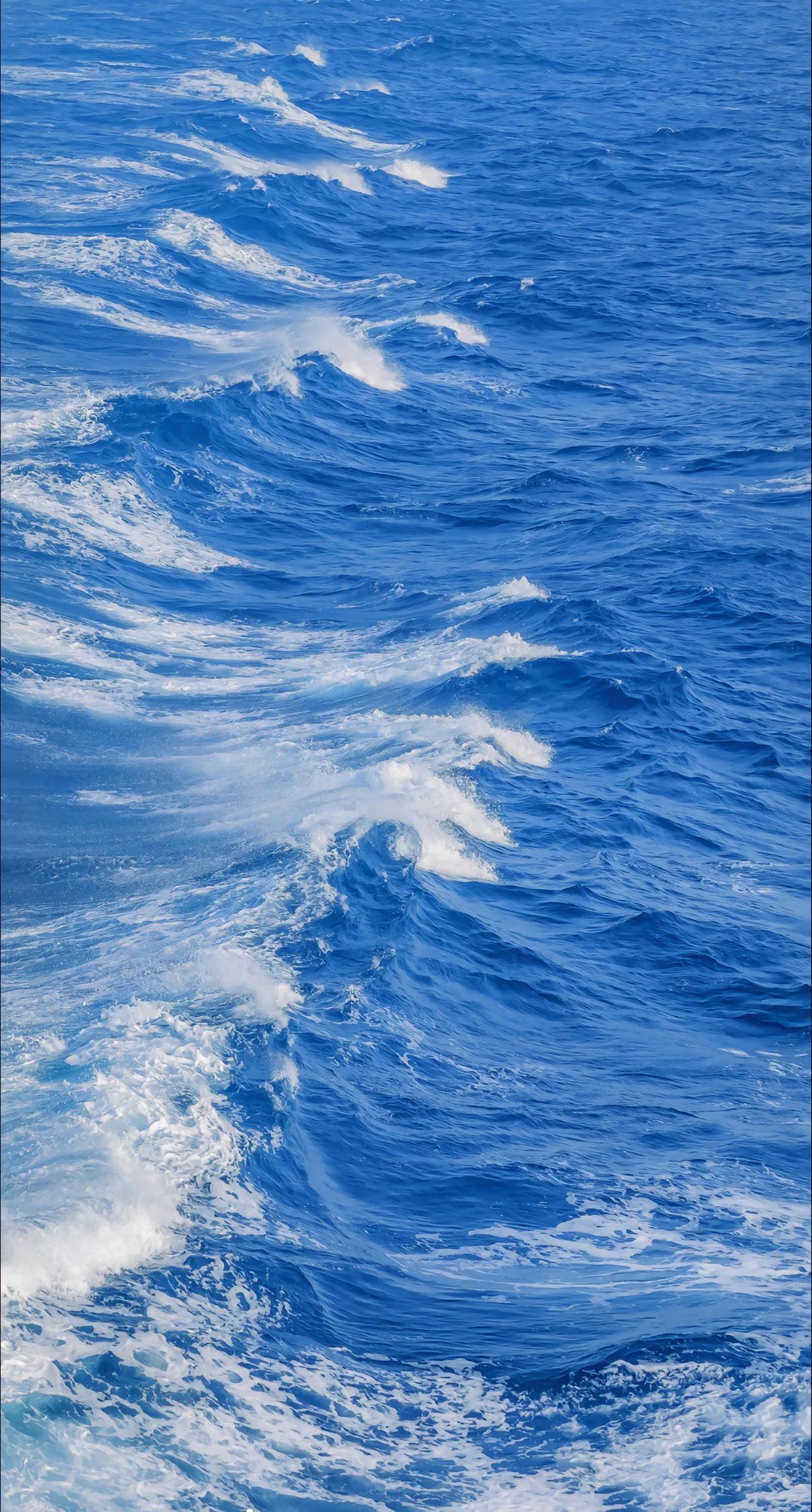 海上漂，心飛揚——探索陸路國際貨運代理業務的獨特魅力